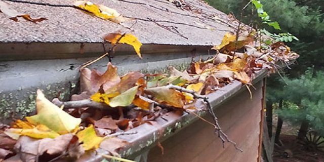 Rain Gutters